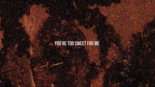 Hozier - Too Sweet (Official Lyric Video)