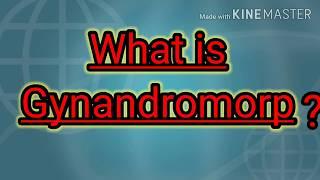 What is Gynandromorph BY_ Sujit Kumar dubey jee