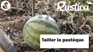 Tailler la pastèque