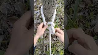 Most useful knots skill ep34 #knot #craft #diy #knotskills