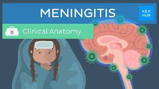 Meningitis: Causes, symptoms, treatment | Kenhub