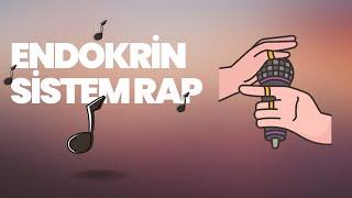 ENDOKRİN SİSTEM RAP