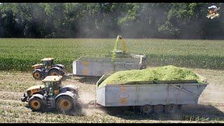 Chopping Corn Silage near Mishawaka Indiana