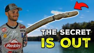 Jordan Lee's BEST KEPT Neko Rig Fishing Secrets (Finesse Pressured Bass From Under Boat Docks)