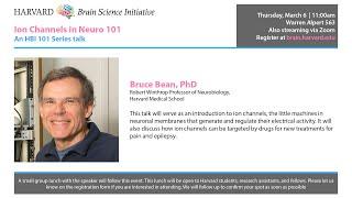 Ion Channels in Neuro 101 w/ Bruce Bean