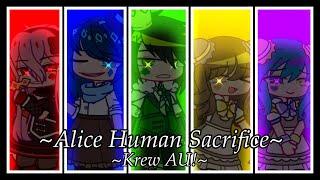 ️~Alice Human Sacrifice~| KREW AU | GCMV |Warnings are at the beginning!