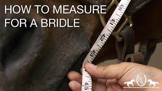 How to Measure for a Bridle