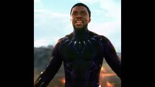 I am not dead #black panther