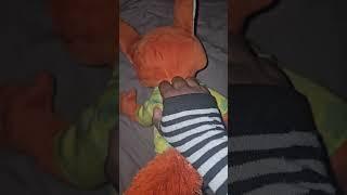 Rubbing | Zootopia Nick Wilde #asmr #furry #plush #plushies #zootopia #zootopia2 #nickwilde #disney