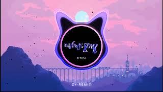 အချစ်များစွာယူ (Proghouse remix) - ZY Remix