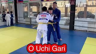 O Uchi Gari - зацеп голенью изнутри под разноименную ногу!