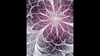 Pineal Sound 012 - Progressive House Techno Dj Set (432hz)