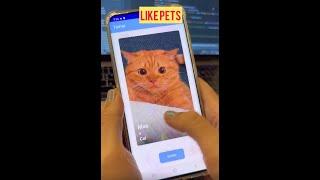 Tinder for Pets | ANDROID STUDIO | + Source Code