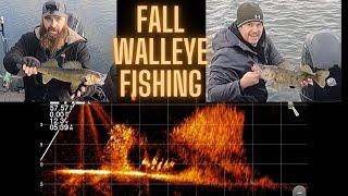 Epic Livescope Footage | Walleye Feeding in Large Schools