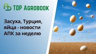 Засуха, Турция, яйца - новости АПК за неделю | TOP Agrobook: обзор аграрных новостей