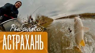 Астрахань. Маково // Рыбалка на Волге