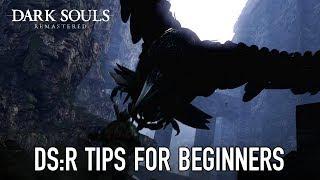 5 Beginner Tips for Dark Souls: Remastered | Vaatividya