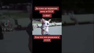 Для тех кто родился в СССР