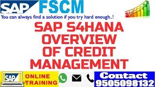 SAP S4HANA FSCM||OVERVIEW OF CREDIT MANAGEMENT||CREDIT MANAGEMENT