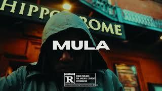 [FREE] Dancehall Riddim Instrumental 2024 - "MULA"