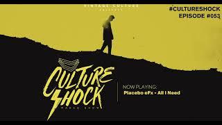 Vintage Culture - Culture Shock #053