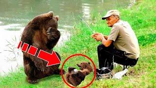 A crying mother bear brought her dying cub to a man. Just unbelieveble!