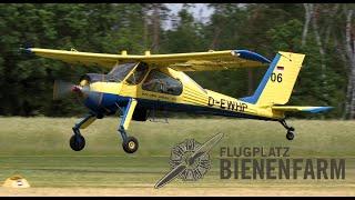 BIENENFARM 2022  - Landung WILGA PZL-104 Wilga 35A D-EWHP