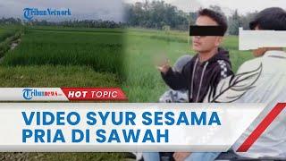 Beredar Video Syur Sesama Pria di Areal Persawahan Banjarnegara, Satu Pelaku Pakai Seragam SMA