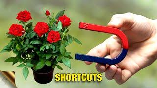 GARDENING SHORTCUTS TO SAVE TIME AND MONEY in 2024 | #GARDENING HACKS SERIES