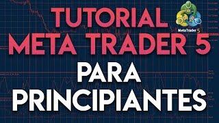 Tutorial MetaTrader 5 para principiantes | Cómo usar MeTatrader (MT5)