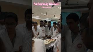 Embryology Models| Mbbs 1st year🩺 Aiims patna #mbbs #medicalstudent #neetmotivation #neet2023 #neet