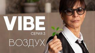 Серия 3 VIBE