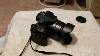 My Lumix Fz300 review after two months.