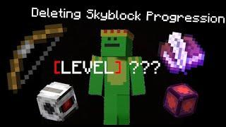 How I deleted Hypixel Skyblock Progression as a HYPERION NON