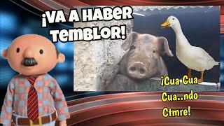 CHANCHO HABLA Y DICE QUE VA A HABER TEMBLOR!  - [Notijeropas Avance Informativo]