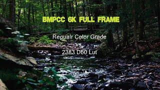 BMPCC 6K Full Frame regular color correction vs. 2383 Lut. Test Footage