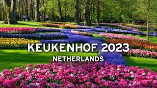  Keukenhof, April 30, 2023 - Netherlands   [4K]