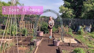 Tidying Up the Plot | Allotment Vlog  Ep. 17 