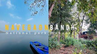 Navegaon bandh | national park maharashtra | cinematic video