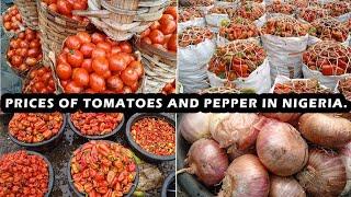 CURRENT PRICE OF TOMATOES AND PEPPER | LAGOS NIGERIA | MILE 12 MARKET