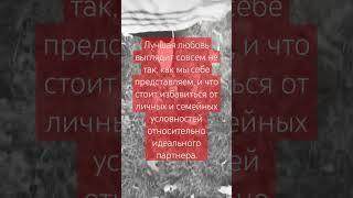 #цитаты из книги "мы влюбляемся три раза" #любовь #отношения #самооценка #love #психология #shorts