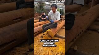 Melihat Para Pengrajin Kayu Tradisional China️