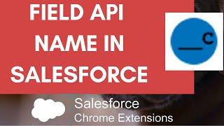 How to find field API Name in Salesforce with using Chrome Extension?