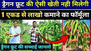 1 एकड खेती से 10 लाख  कमाने का फॉर्मूला ️ dragon fruit farming | dragon fruit ki kheti kaise kre