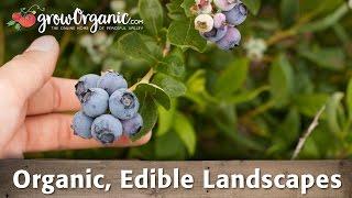 How to Grow Organic, Edible Landscapes