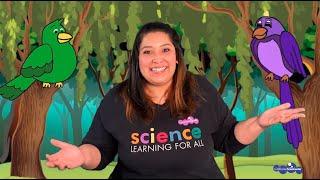 Kindergarten Life Science - Virtual Field Trip | California Science Center