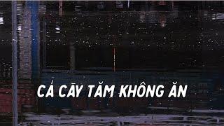 Câu rơi lửng trắm đen