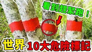 世界上10大最危險標記！千萬別撿路邊的彩色石頭，看有紅圈的樹一定要遠離！| 好奇指南針 #生活  #有趣 #科普 #top #top10