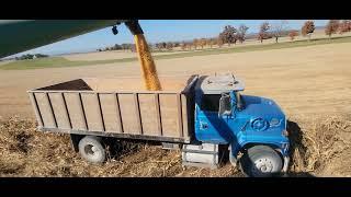 Corn Harvest officially started, Father and Son working together