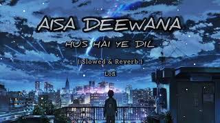 Aisa deewana hua hai ye dil (slowed + reverb) hindi song 90s  #lofisonglover